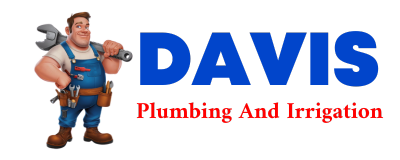 Trusted plumber in CUSHMAN